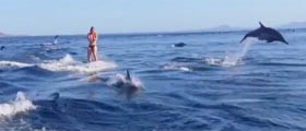 wakeboarding_with_dolphins