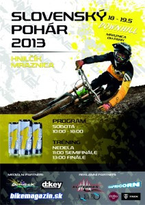 Plagat Mraznica 2013_web