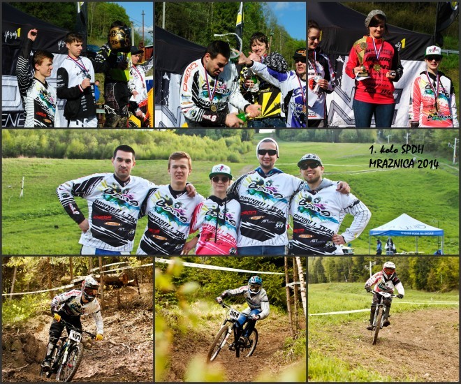 Collage SPDH 2014