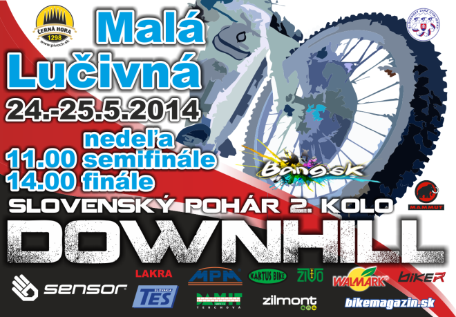 downhill_2014_1 Bang