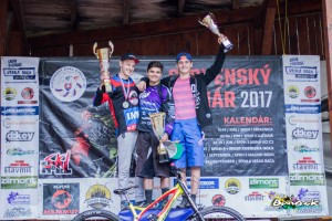 Celkove vyhodnotenie SPDH 2017 (13)