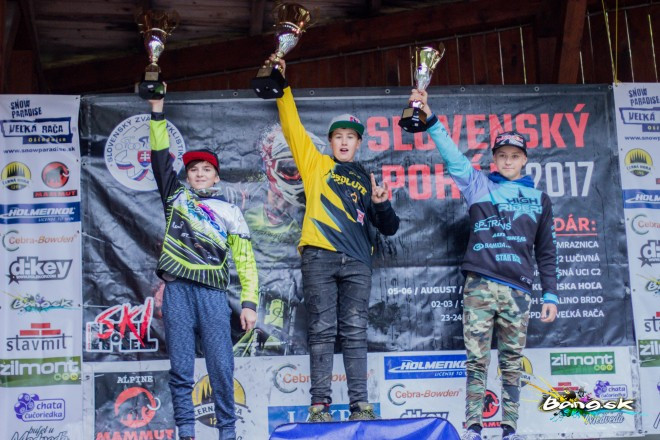 Celkove vyhodnotenie SPDH 2017 (4)