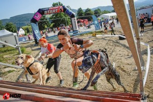 Hard Dog race