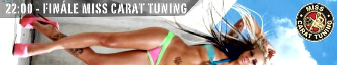 2013_carat tuning party program