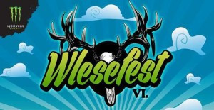 wlesefest martin