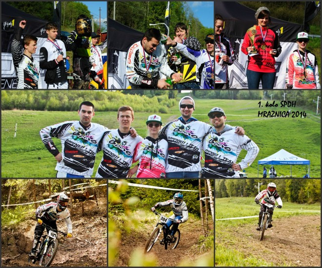 Collage SPDH 2014