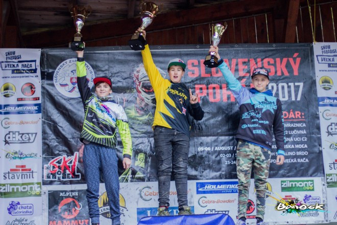 Celkove vyhodnotenie SPDH 2017 (4)