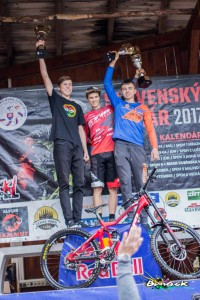 Celkove vyhodnotenie SPDH 2017 (6)